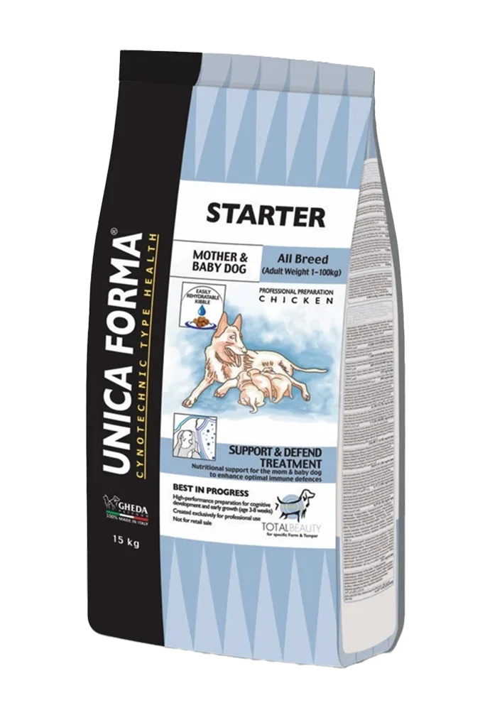 Starter